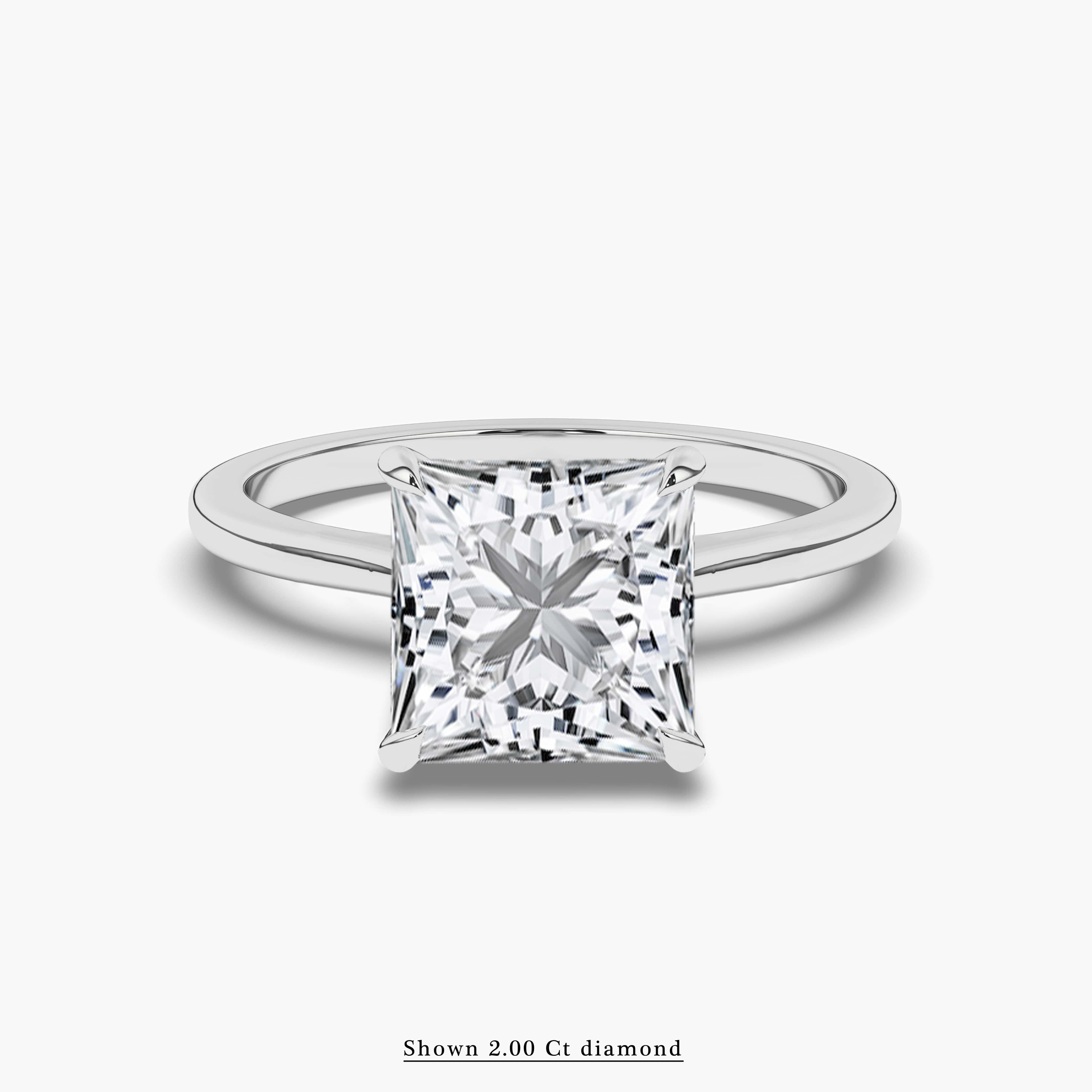 Princess Cut Cathedral Engagement Ring white gold
